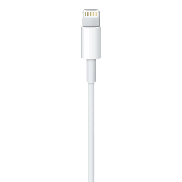 Câble Data USB vers Lightning Apple Original 5W