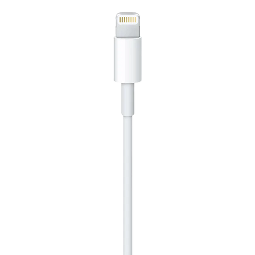 Câble Data USB vers Lightning Apple Original 5W
