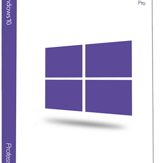 Microsoft Windows 10 Professionnel